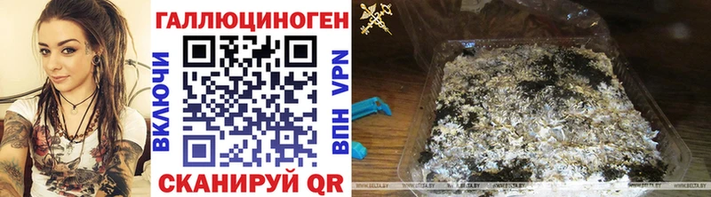 Галлюциногенные грибы прущие грибы ссылка на мегу как войти Комсомольск-на-Амуре что такое наркотик